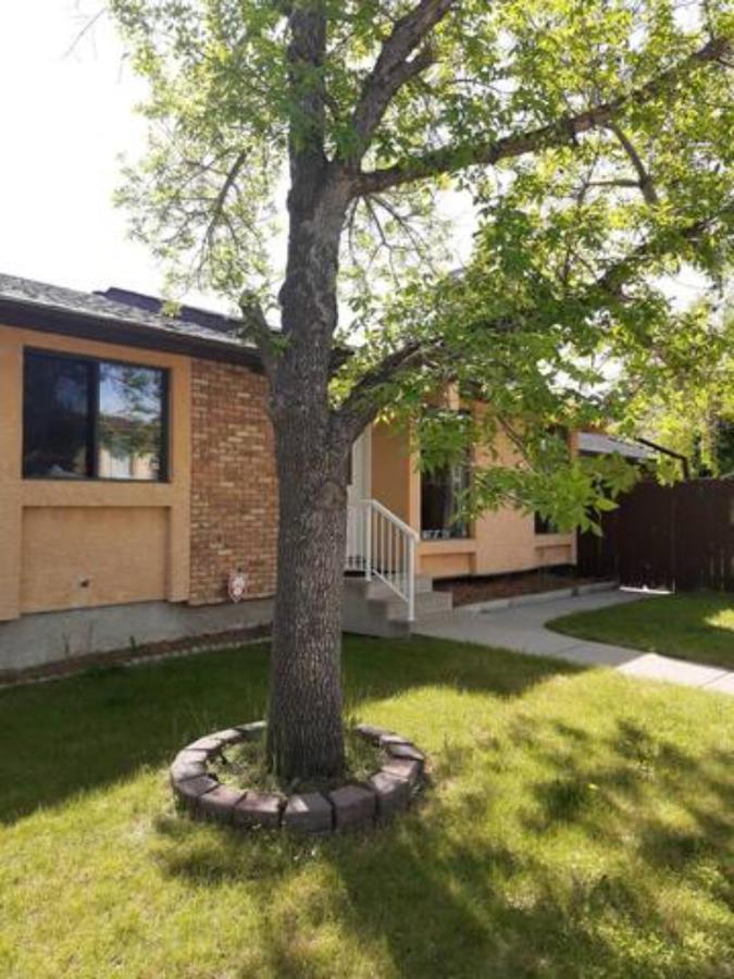 Cozy Home With Comfortable Beds And Fully Equipped Kitchen 15 Mins Drive From Airport, Downtown, Sait And U Of C And 80 Min Drive To Banff YYC Екстериор снимка